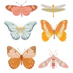 Les papillons